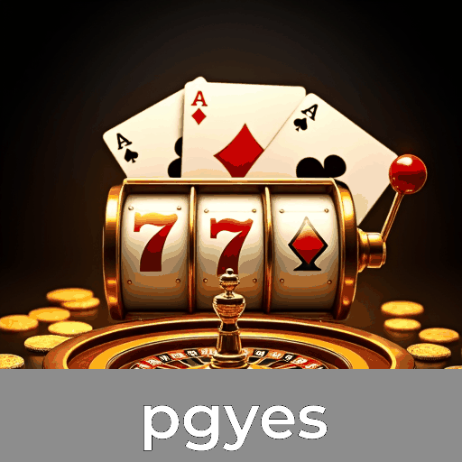 Acessar o site pgyes COM